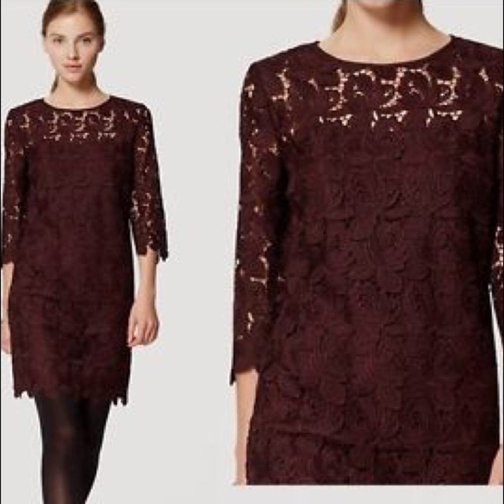 BNWT Burgundy LOFT Lace Shift Dress